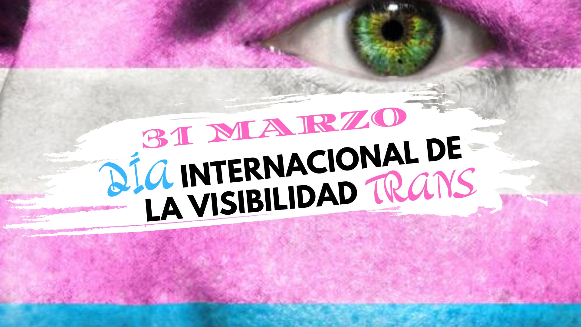 Día Internacional De La Visibilidad Transgénero Standard Digital News Noticias De Maracaibo