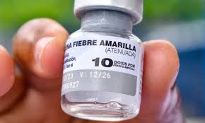 Emergencia sanitaria en Venezuela: Julio Castro advierte que la fiebre amarilla alcanza una letalidad del 50%