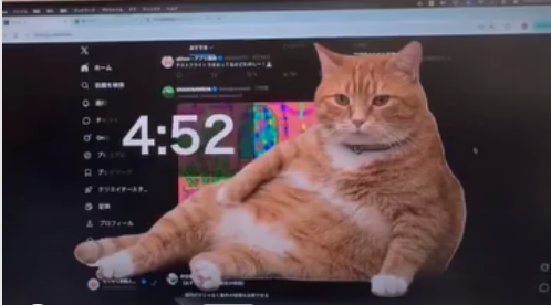 ¿Te parecio ver un lindo gatito?: La ingeniosa solución japonesa para frenar la adicción al uso de las pantallas