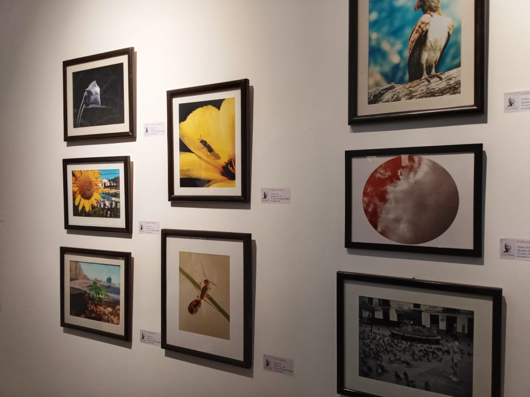 Secretaría de Cultura inaugura las muestras «Mi obra fecunda en el lienzo» y “8 horas después”