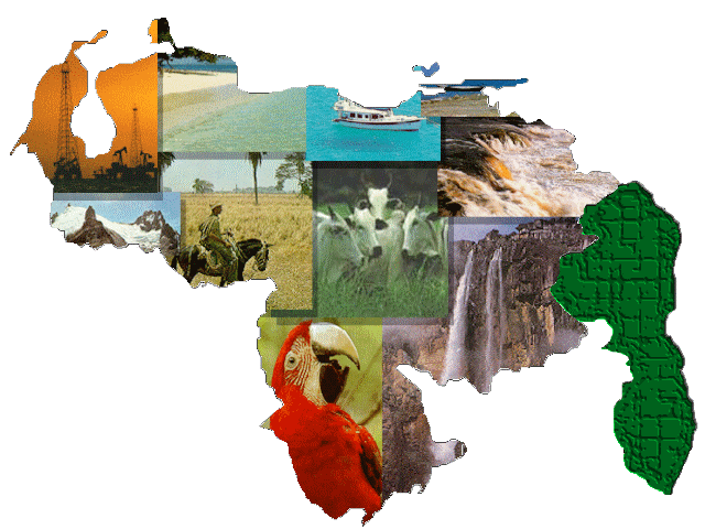 El sector turismo como motor que impulsa la economía del país