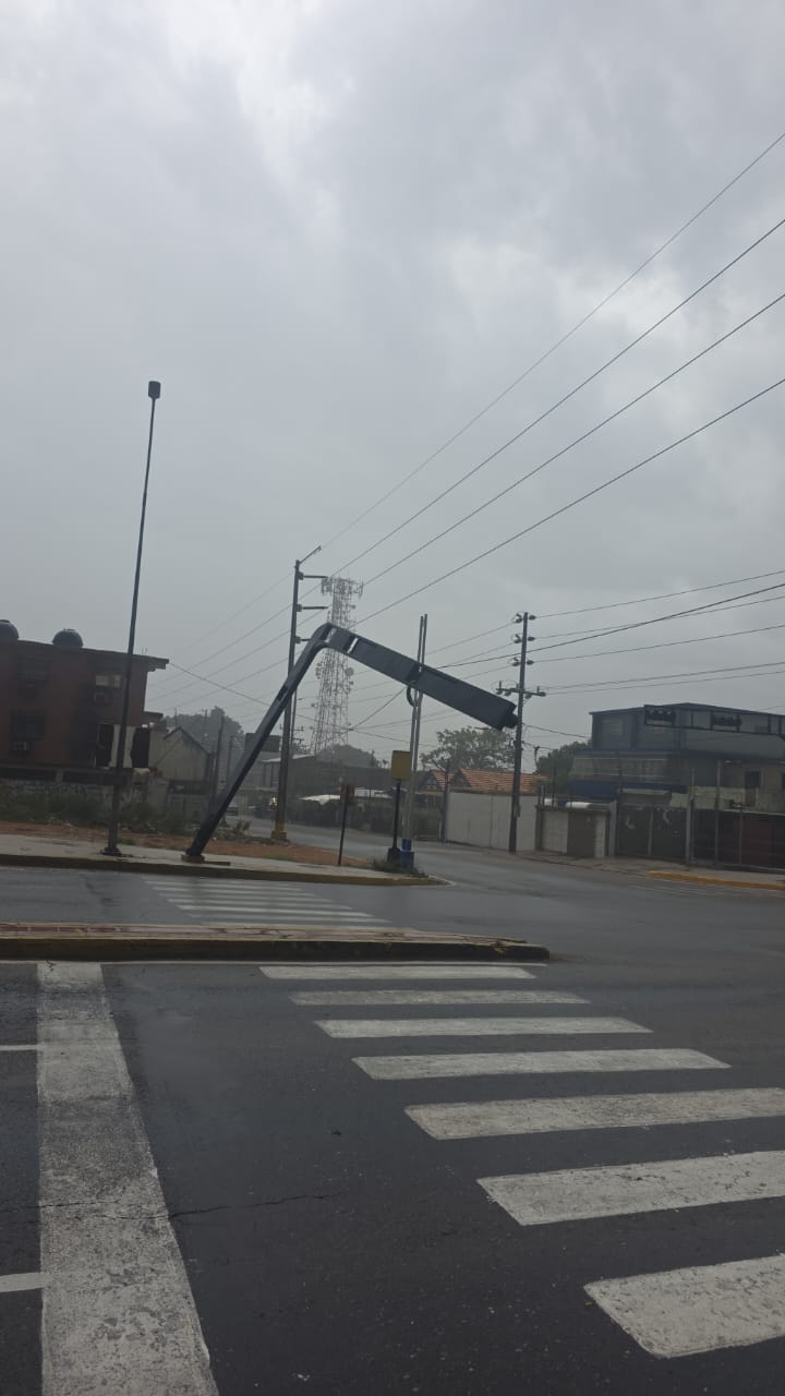 Alcalde Di Martino: Organismos de prevención atienden afectaciones tras fuerte lluvia con vientos huracanados