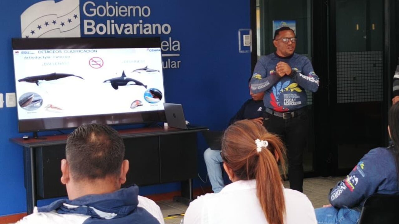 Capacitan a funcionarios para el registro de avistamientos de mamíferos acuáticos en Zulia y Nueva Esparta