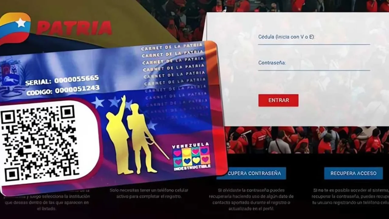 Bonos del Sistema Patria por pagar hasta el 31 de diciembre