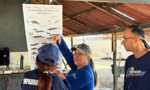 Pescadores del estado Zulia reciben capacitación sobre avistamientos de mamíferos marinos
