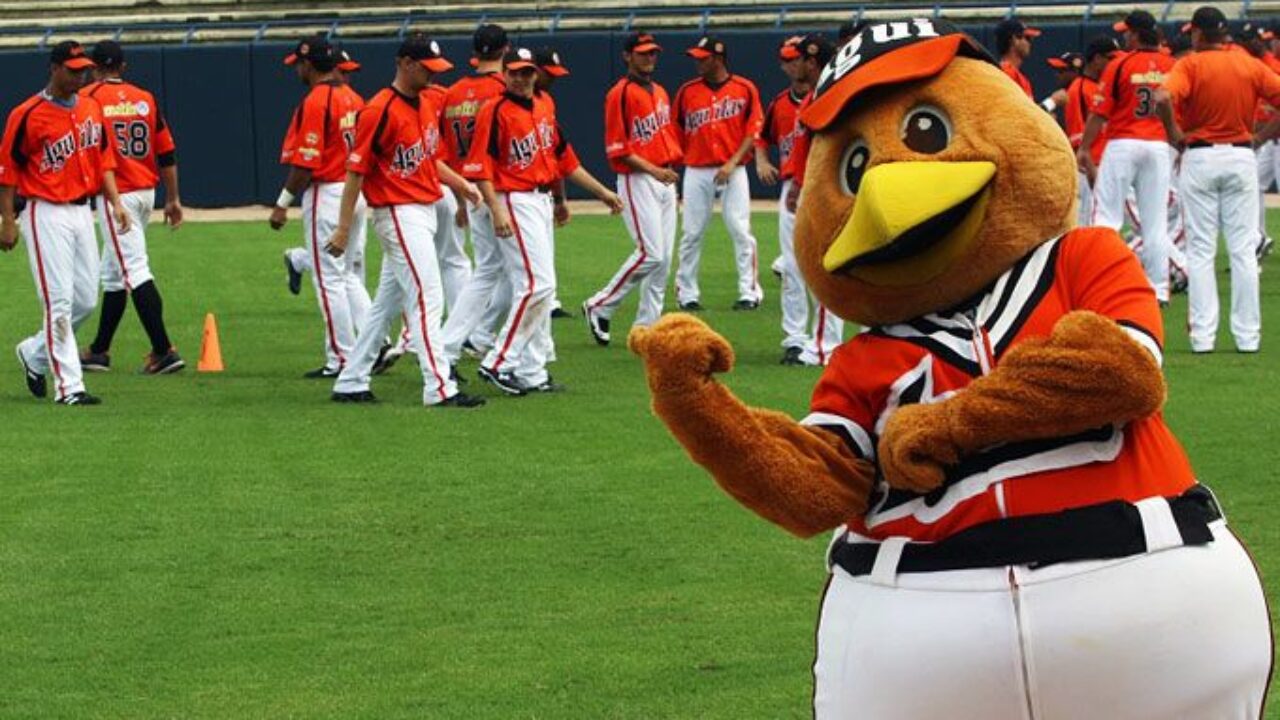 Las Águilas del Zulia se refuerzan con Silvino Bracho, José Pirela y cinco piezas más para la temporada 2025-2026 de la LVBP