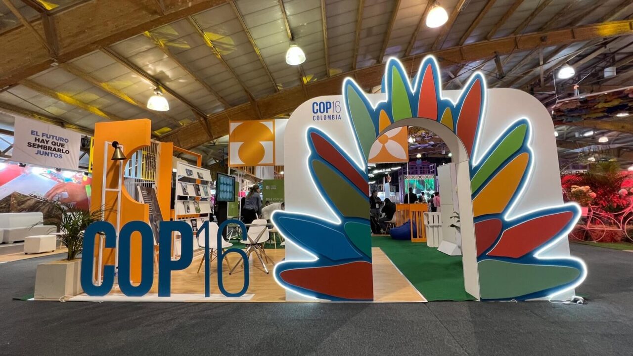 Colombia será la sede de la COP 16, la cumbre de biodiversidad de la ONU, en 2024