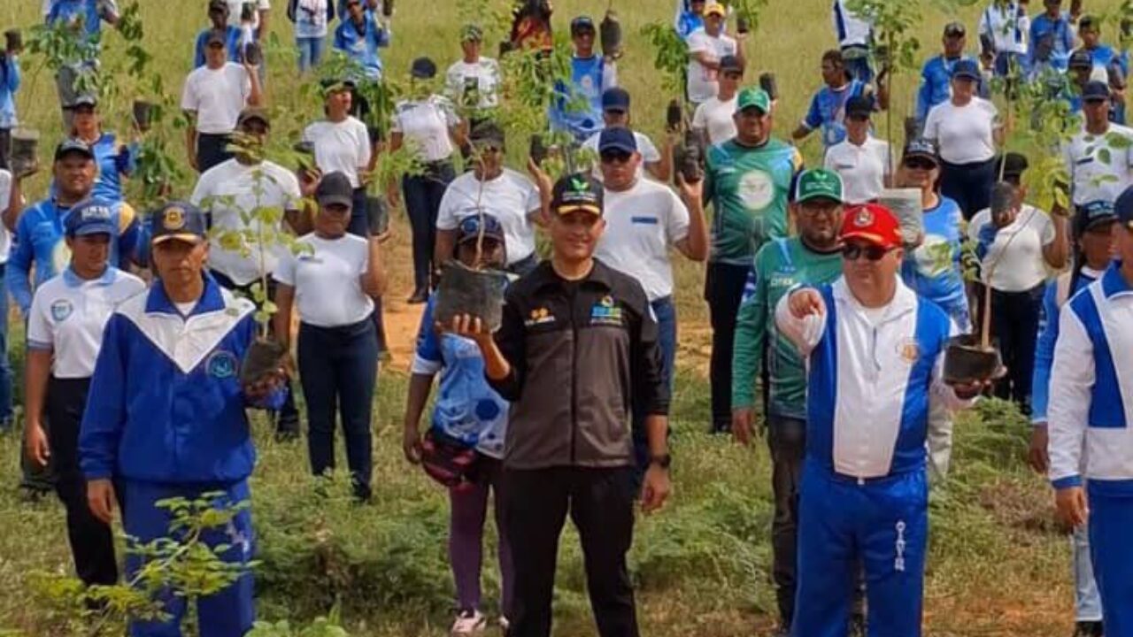 Cinco mil plantas establecen en el Zulia por el Día Internacional contra el Cambio Climático
