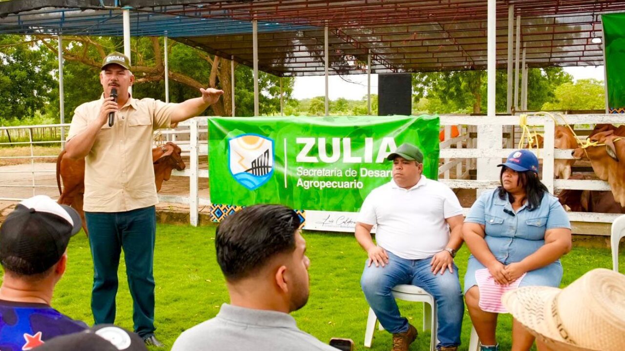 Gobernador Caldera acompaña inicio de la colocación de 83.000 dosis en el Zulia en segundo ciclo de vacunación antiaftosa