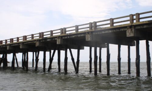 Venezuela en Movimiento: Inicia diagnóstico técnico para la rehabilitación integral del muelle de Muaco