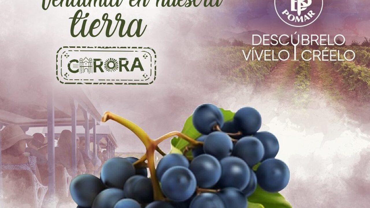 Bodegas Pomar anuncia el inicio de su primera vendimia de 2023