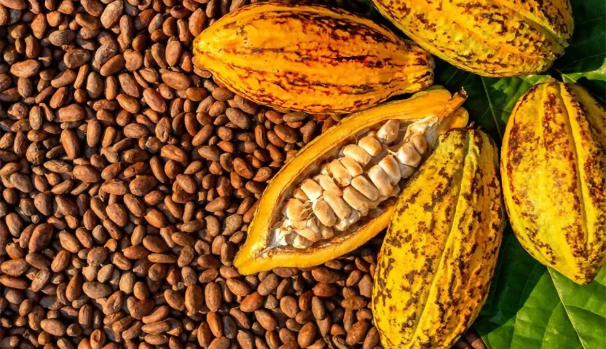 Este sábado: Llega a Maracaibo Primera Feria Artesanal de Café, Cocuy, Cacao y Miel