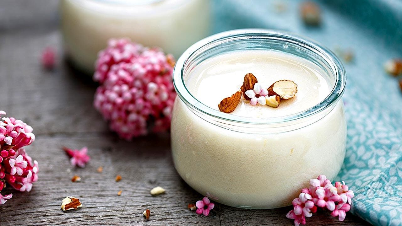El yogur elixir de larga vida, los excelentes beneficios de un alimento ancestral