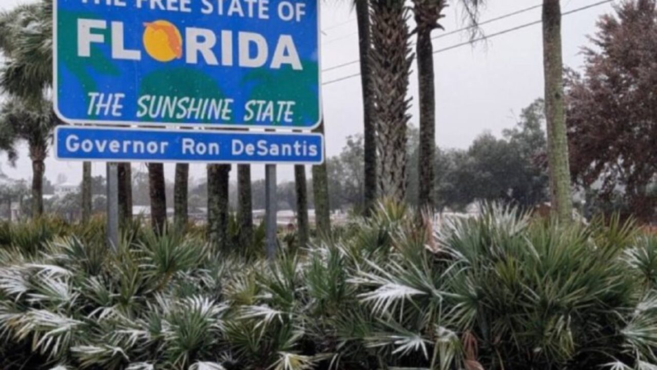 Fenómeno «extraordinario»: La nieve vuelve a cubrir el norte de la Florida y desafía al «Estado del Sol» en EE.UU
