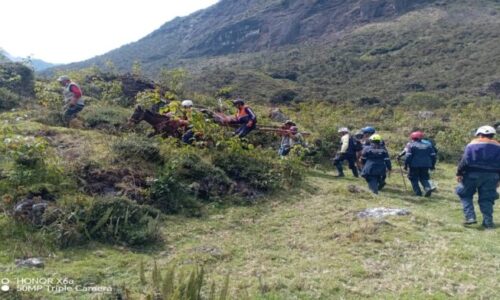 Rescate en las alturas: Salvan a sexagenario tras 36 horas desaparecido en el páramo merideño