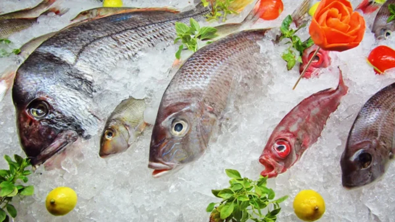 Minpesca: Iniciará la Operación Venezuela Come Pescado para Semana Santa 2023 con la Mega Feria del Cardumen