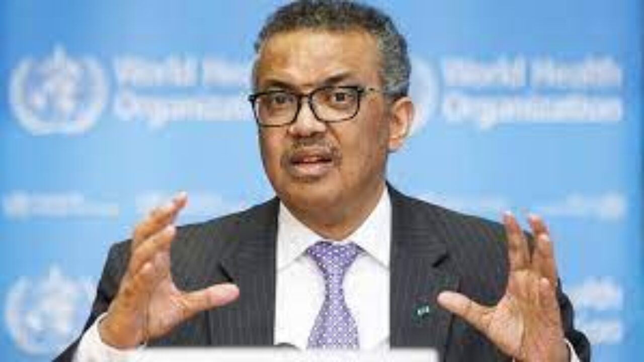 OMS advierte que es necesario prepararse para una pandemia de gripe aviar