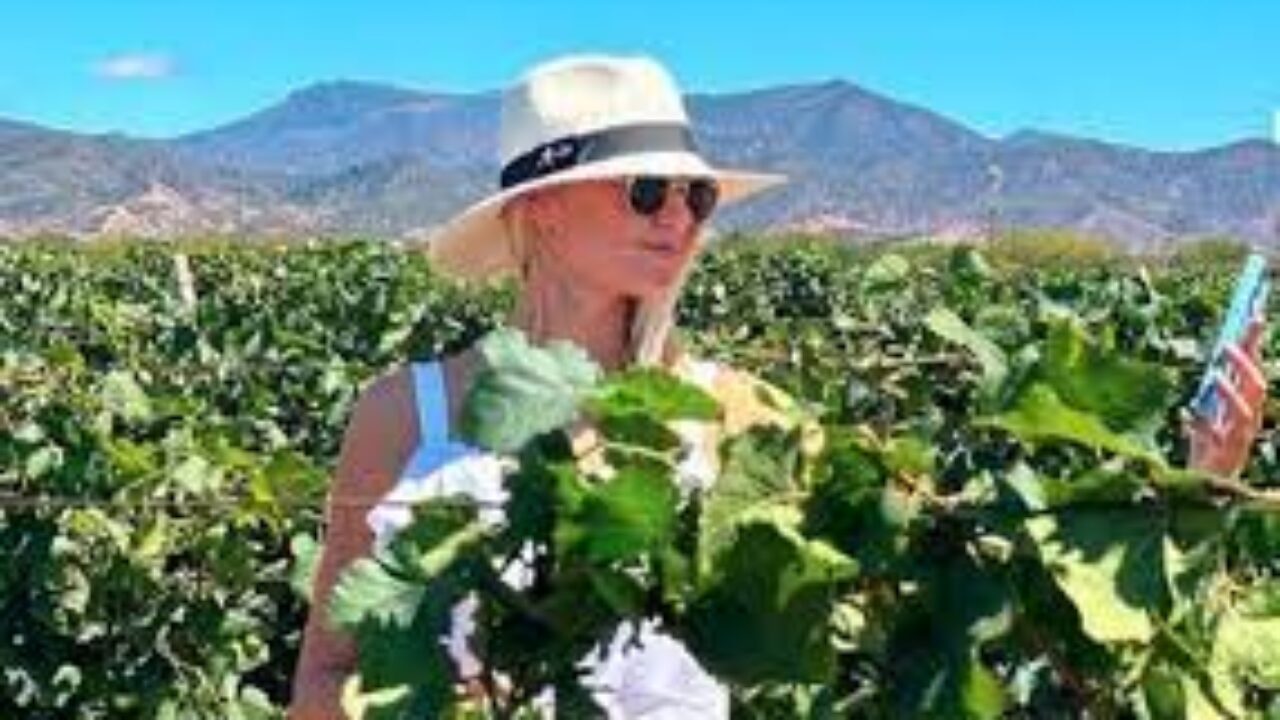 Bodegas Pomar invita a “cosechar orgullo” en Carora