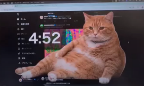 ¿Te parecio ver un lindo gatito?: La ingeniosa solución japonesa para frenar la adicción al uso de las pantallas