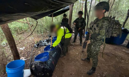 El Ejército Nacional colombiano destruye un megacomplejo cocalero del ELN en el Cauca