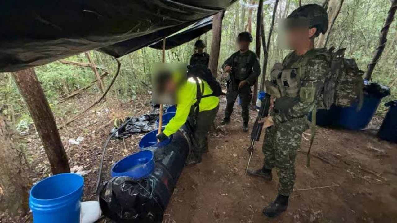 El Ejército Nacional colombiano destruye un megacomplejo cocalero del ELN en el Cauca