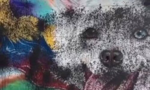 Reincidencia: atacan por segunda vez el mural del perro rescatista Tsunami
