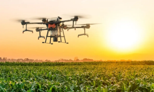 Venezuela autoriza nuevamente el uso de drones tras atender requerimientos del sector agrícola