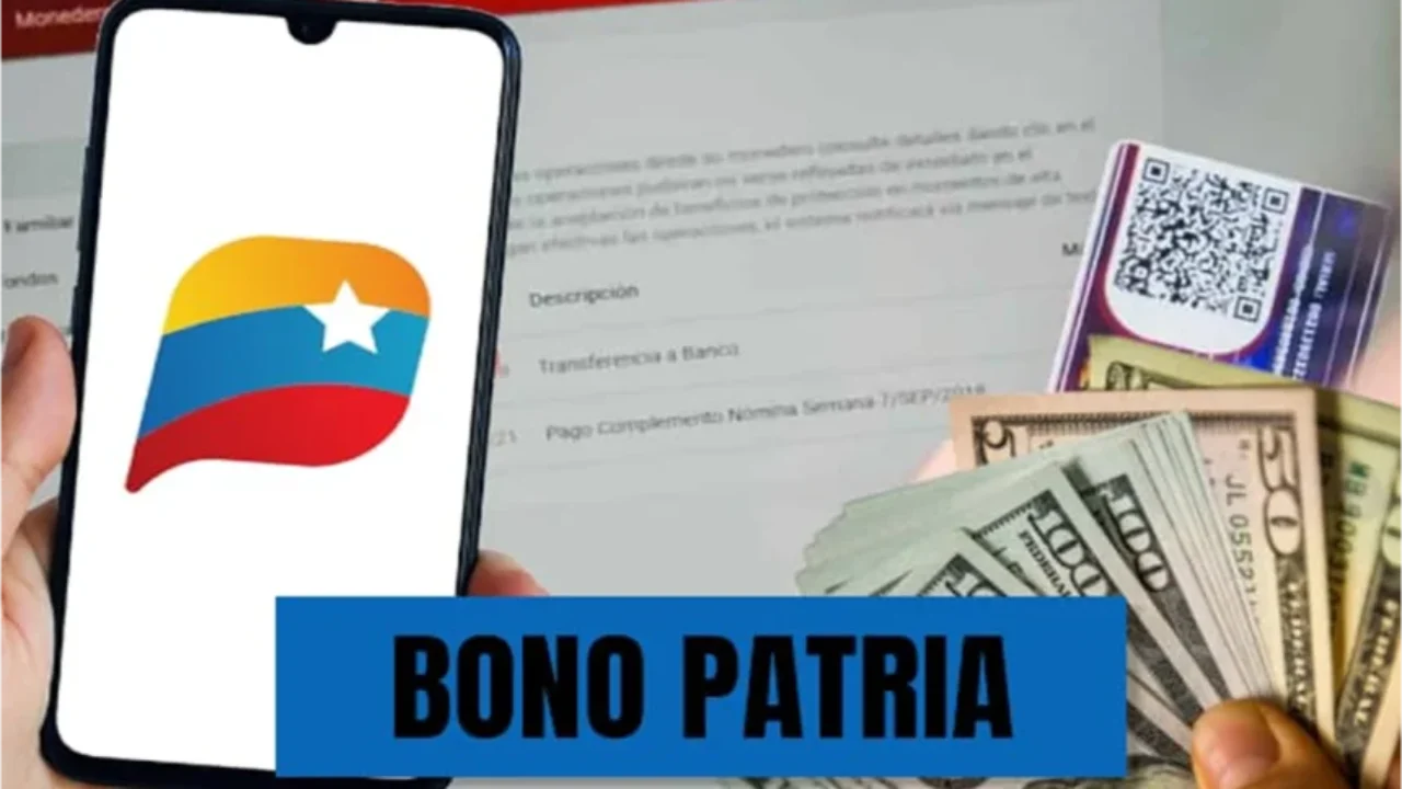Seis bonos de la patria sufrieron un incremento del 10 %: Vea cuales son y los nuevos montos