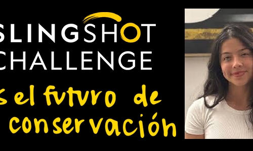 Venezolana Sofía Ramírez, gana el Slingshot Challenge de National Geographic con su proyecto «Ciclo Verde»