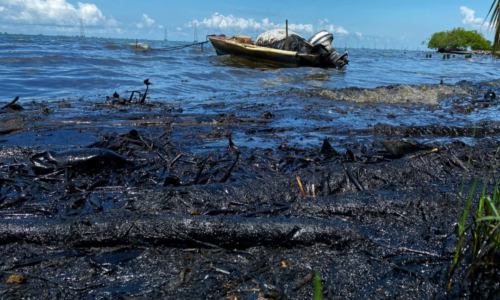 Azul Ambientalistas alerta sobre severa contaminación petrolera en las costas de Valmore Rodríguez