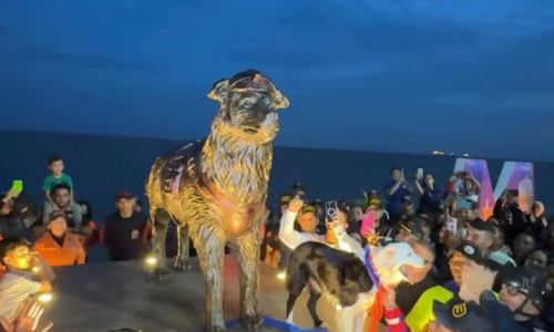 En Maracaibo develan estatua en honor a Tsunami, el perro rescatista que salvó vidas tras el evento sísmico de junio