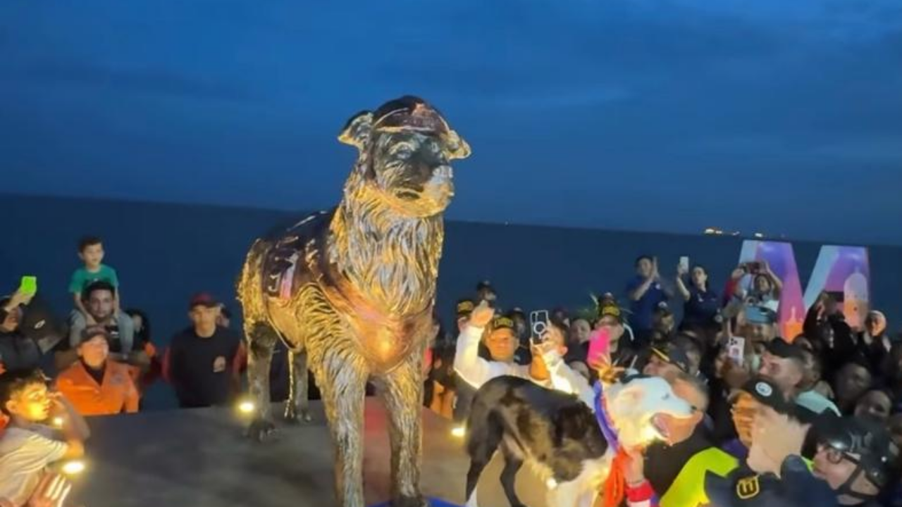 En Maracaibo develan estatua en honor a Tsunami, el perro rescatista que salvó vidas tras el evento sísmico de junio