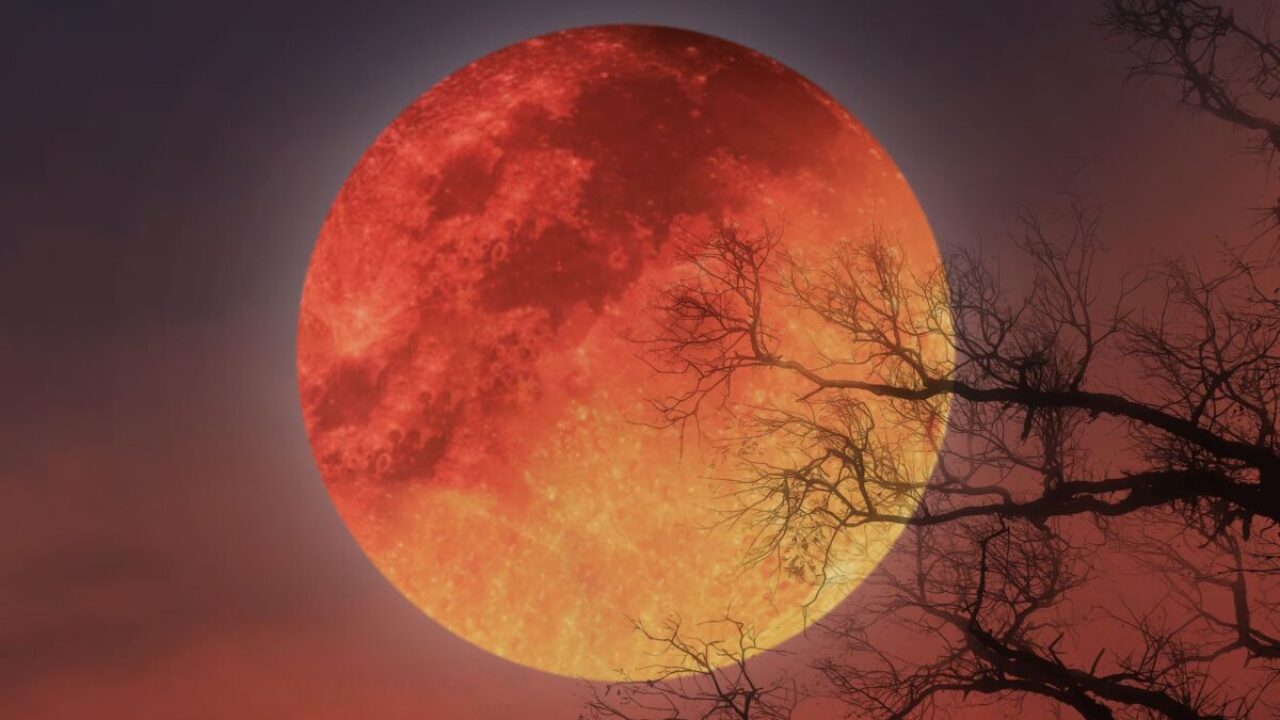 Fenómeno astronómico: eclipse lunar total del tipo conocido como ‘luna de sangre’, se verá en septiembre