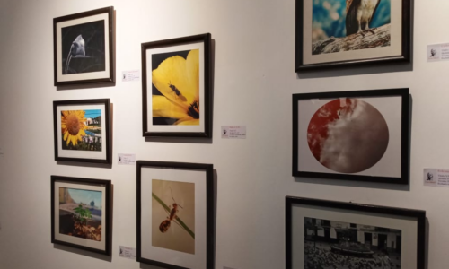 Secretaría de Cultura inaugura las muestras «Mi obra fecunda en el lienzo» y “8 horas después”