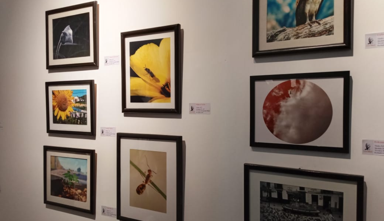 Secretaría de Cultura inaugura las muestras «Mi obra fecunda en el lienzo» y “8 horas después”