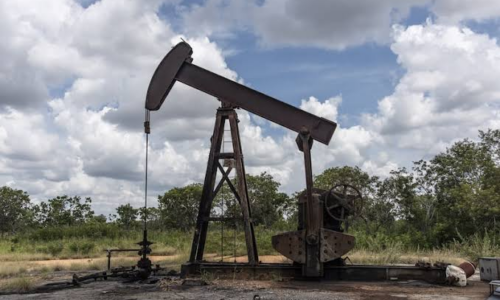 Según Bloomberg: El éxito del acuerdo petrolero de Trump con Venezuela depende de campos deteriorados y de difícil explotación