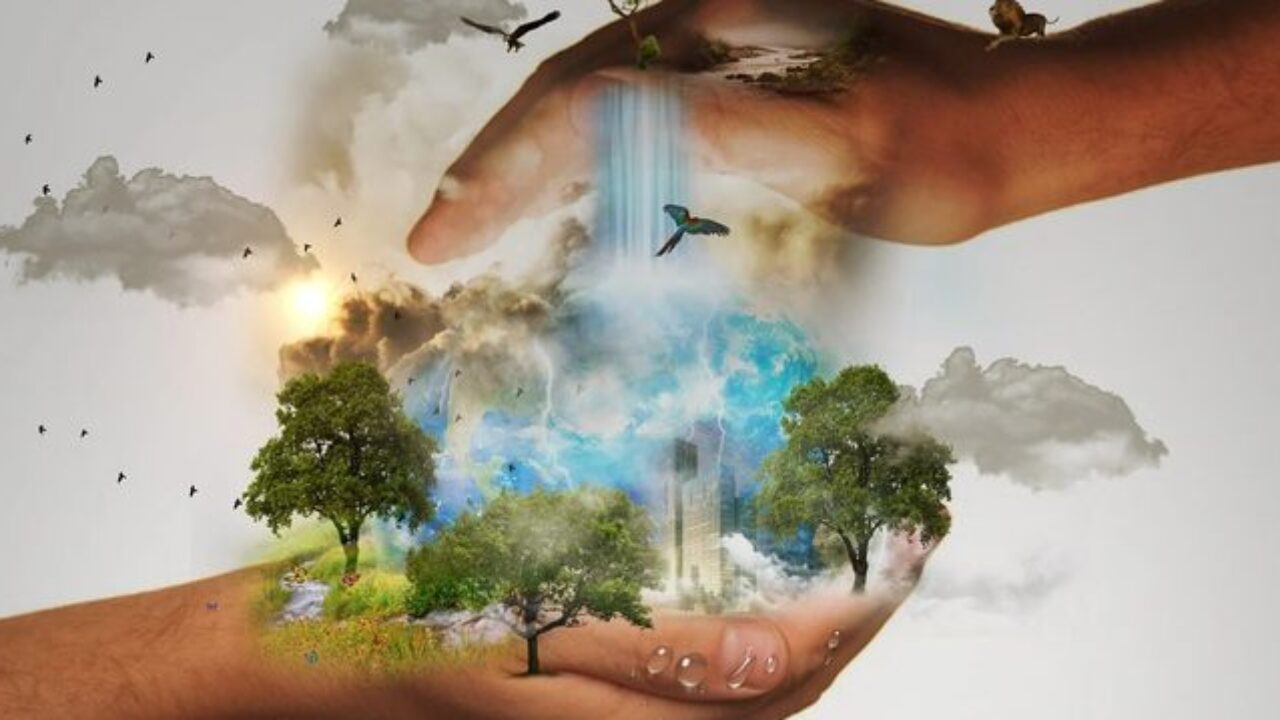 Día Internacional de la Madre Tierra: Un llamado global para proteger nuestro hogar