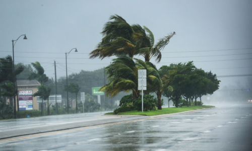 Alerta meteorológica: Florida se prepara para días de lluvias extremas e inundaciones repentinas