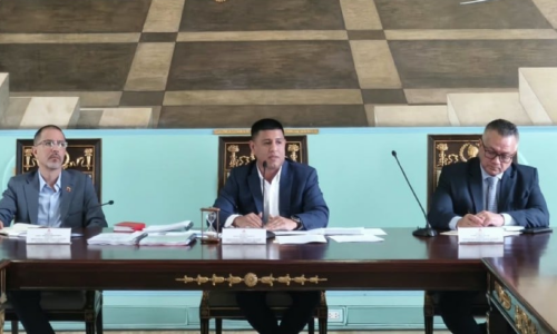 Avanza reforma legislativa: AN instala comisión para modificar la Ley contra el Odio y revisar sus aplicaciones