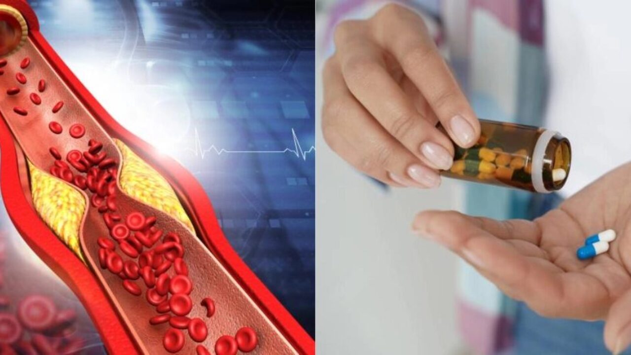 Científicos prueban con éxito fármaco experimental que reduce los triglicéridos sin afectar el colesterol bueno