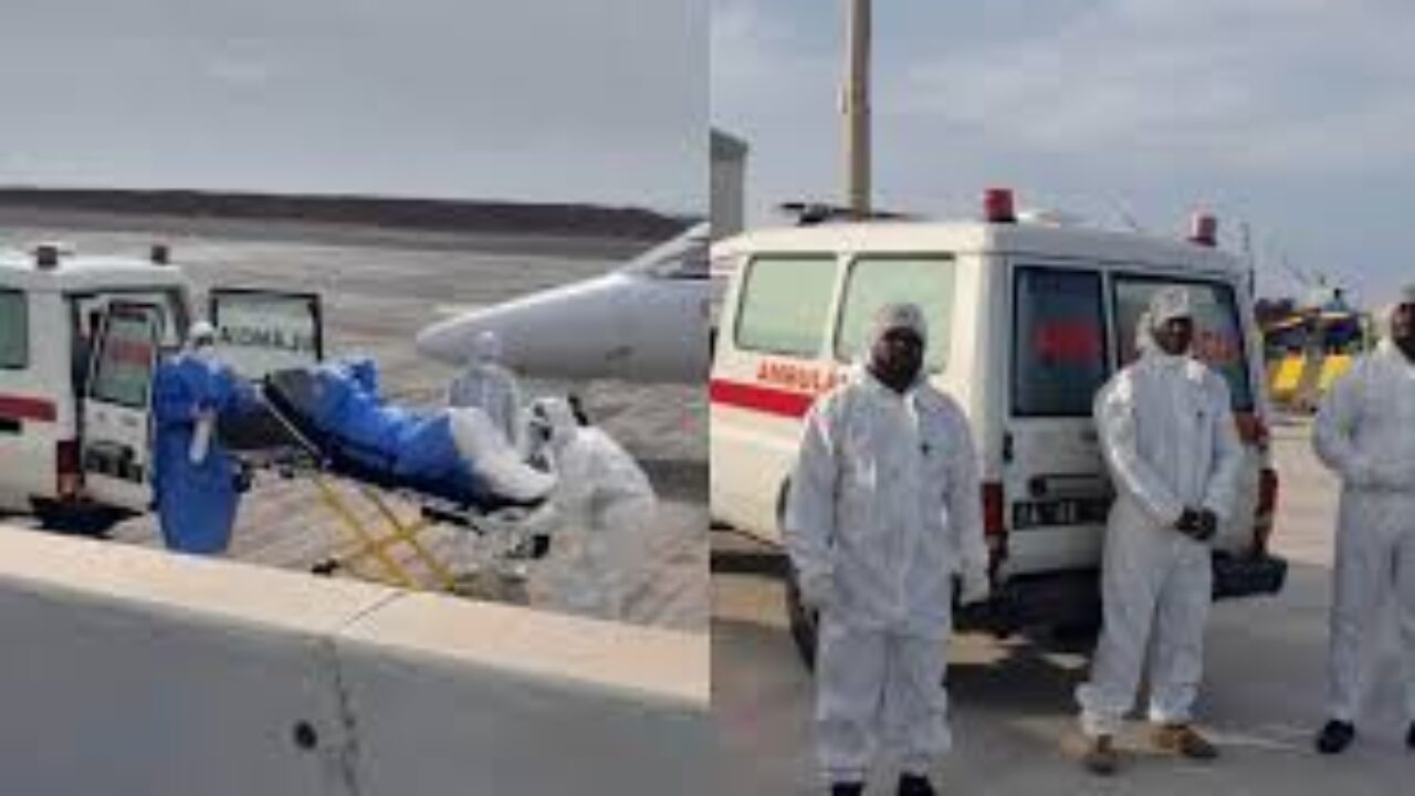 Alerta sanitaria global: OMS confirma que cepa de Hantavirus en crucero permite el contagio entre humanos