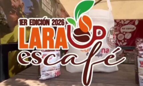1era Edicion «Lara es Café 2026»: La caficultura regional abre sus puertas a inversionistas internacionales